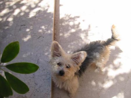 TiTe LaYkA On FoRsE
